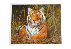 Reproduksjon med motiv av liggende tiger i jungel. bilde.